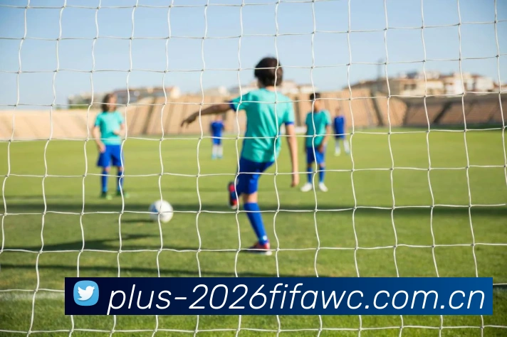 FIFA官方数据授权认证
